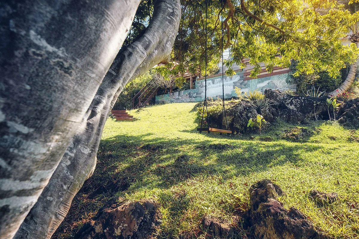 Le jardin de La Plantation, un tronc de palmier et la pelouse en pente vers les cannes